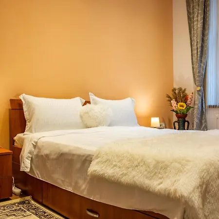 John Private Parking Apartment Brasov