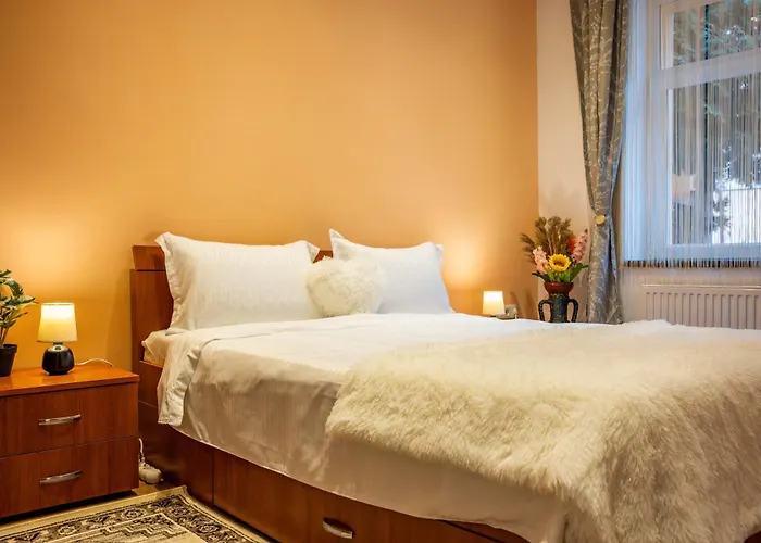 John Private Parking Apartman Brassó